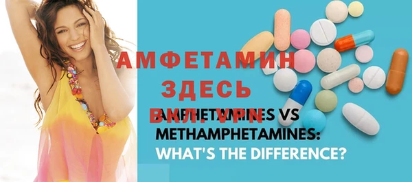 шишки Бородино
