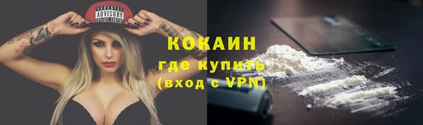 шишки Бородино