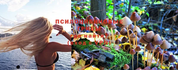 мяу мяу мука Богородицк