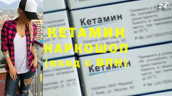 шишки Бородино