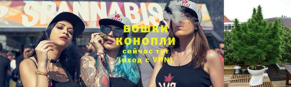 шишки Бородино