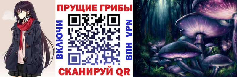 OMG как зайти  Туймазы  Галлюциногенные грибы мухоморы 